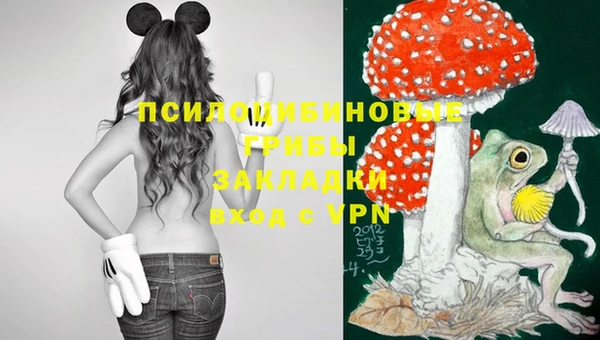 эйфоретик Кинешма